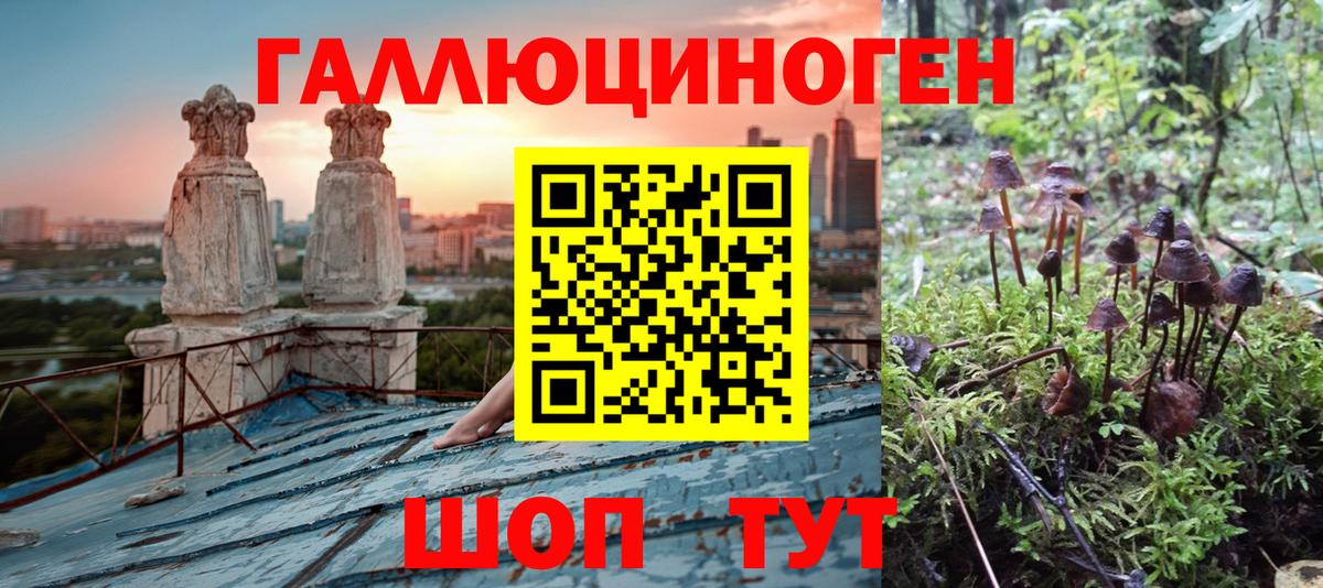 Псилоцибиновые грибы GOLDEN TEACHER  Вход с VPN  Орёл 